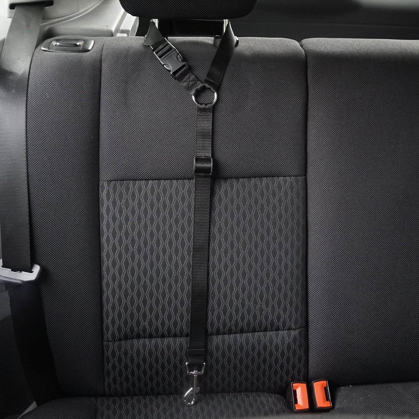 Pet Car safety leash