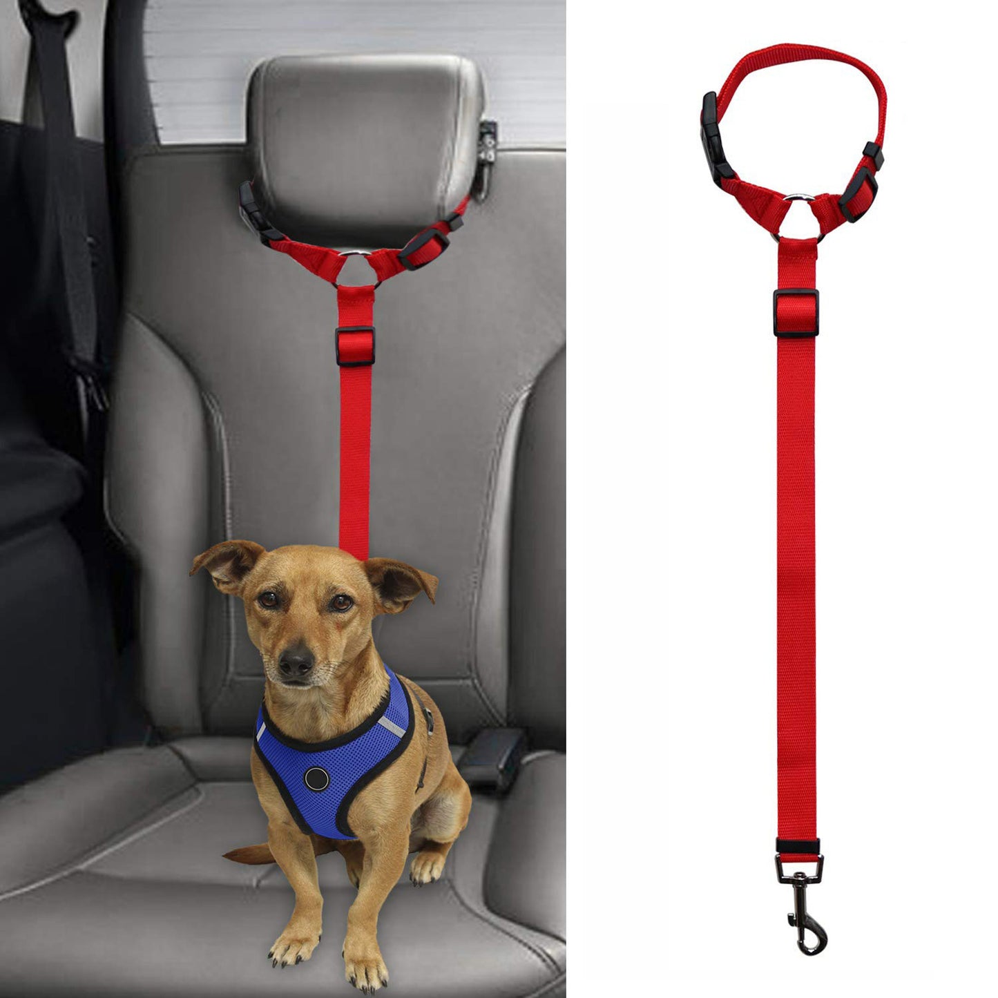 Pet Car safety leash