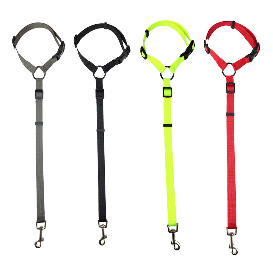 Pet Car safety leash