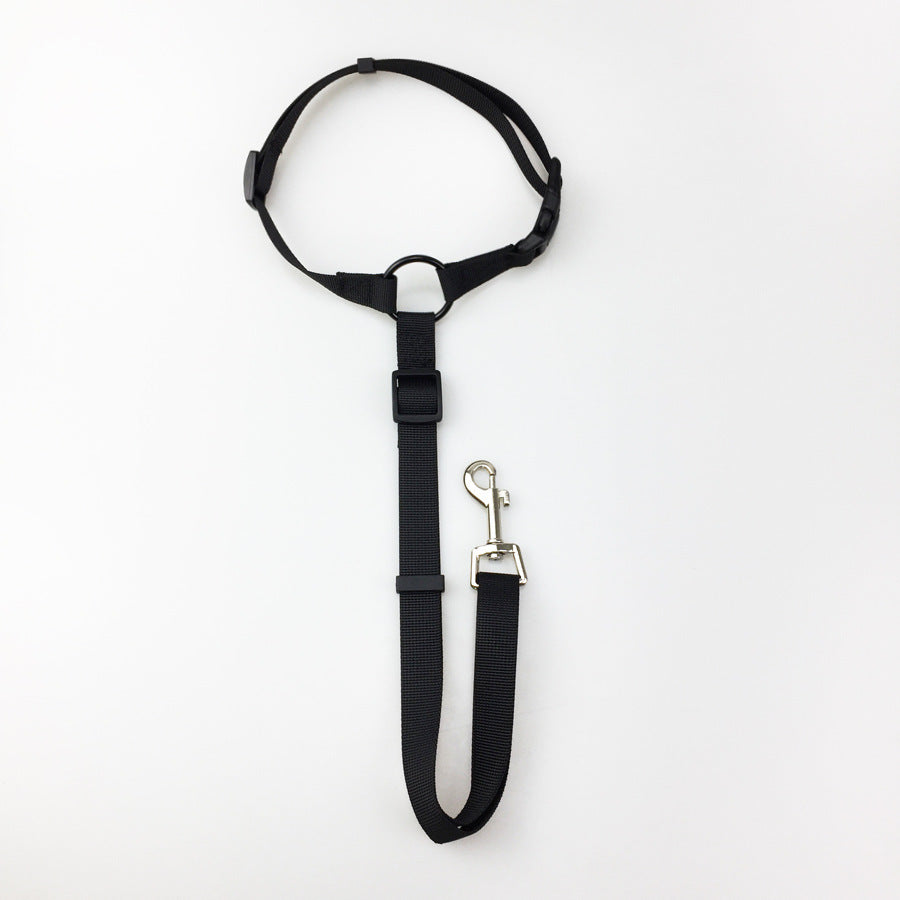 Pet Car safety leash