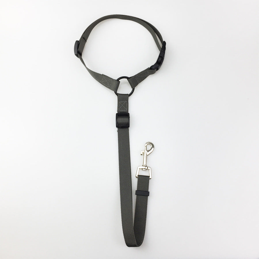 Pet Car safety leash