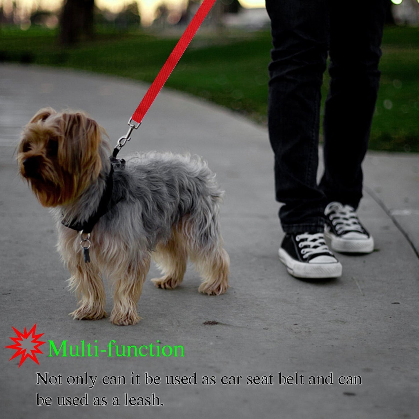 Pet Car safety leash
