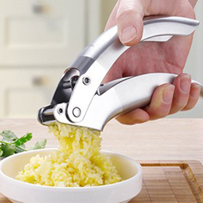 Stainless Steel Garlic Press