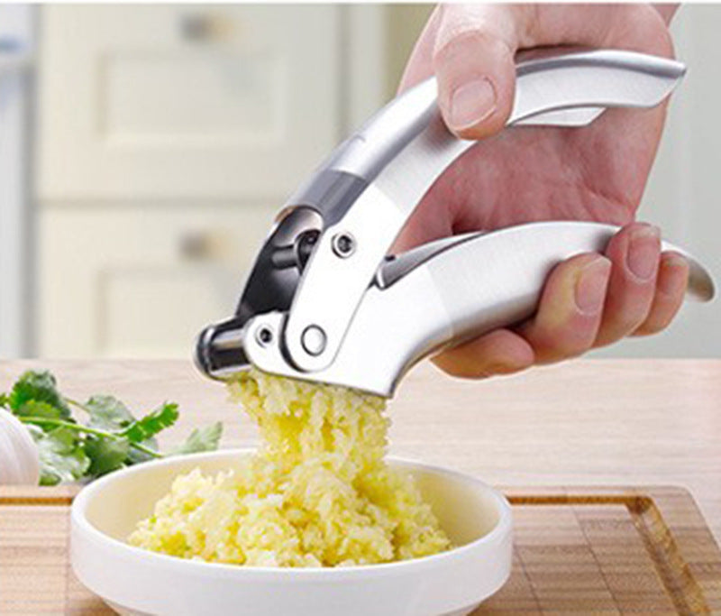 Stainless Steel Garlic Press